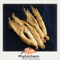 Korea black/red ginseng seed ginseng root extract powder